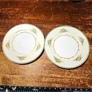 2 Nippon Floral Porcelain Dinner Plates 10" White Multicolor Blue Rim Printed